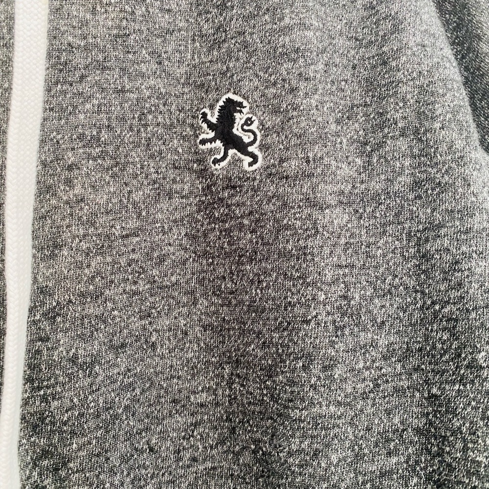 EXPRESS GRAY HOODIE - Picture 2 of 3